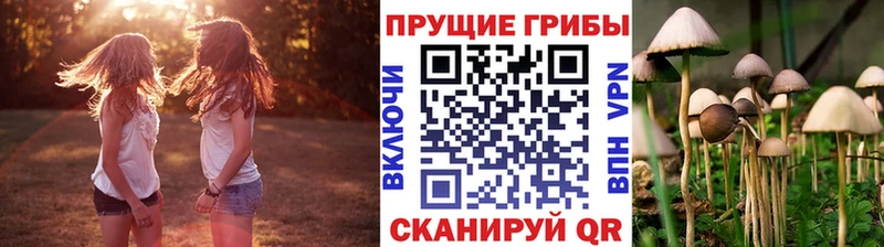 Галлюциногенные грибы Psilocybe  как найти наркотики  Кола 