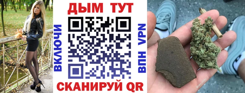 сколько стоит  Кола  Каннабис тримм 